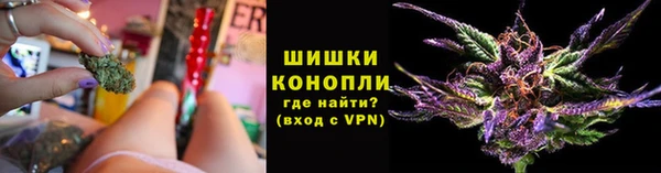 Альфа ПВП Лабытнанги